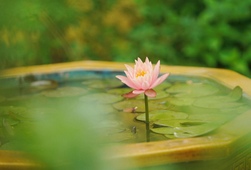 services-02 Services 02